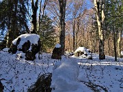 Sulle nevi del Monte Zucco (1232 m ) da S. Antonio Abbandonato (987 m) sui sent. 505-506 il 14 gennaio 2021 - FOTOGALLERY